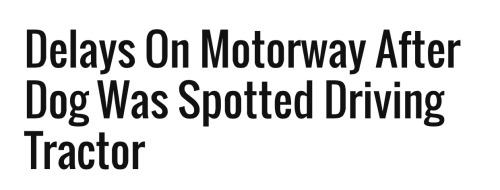 felixbug:thewalkingassbutt:This is by far the best thing to happen today.This post needs the best ph