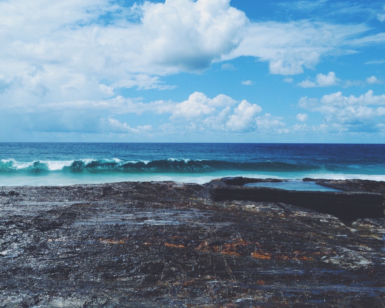 carssun:  Capturing moments like these..priceless