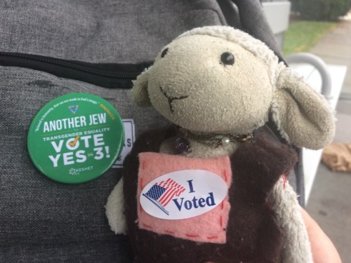Vote yes on 3 in Massachusetts or face the disappointment of Cambyses