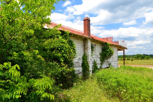 This abandoned little store is in Chapel Hill, Texas.  The sign’s so weathered that we couldn’t tell