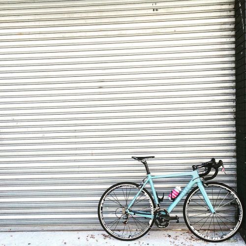 dfitzger:  by @sean_sako: Me this weekend, on my ACE. #ritte | #rittecycles | #ace | #sako7 November