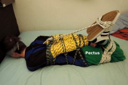 klucivnesnazich: Hogtied roped pectus boy