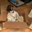 watsonthedog
