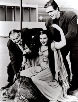 Les Monstres (The Munsters), 1964.