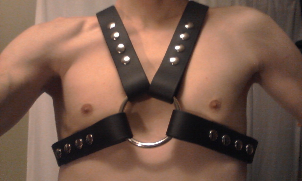cookiethepup:  vegankinkgear:  [x]  that gag though 