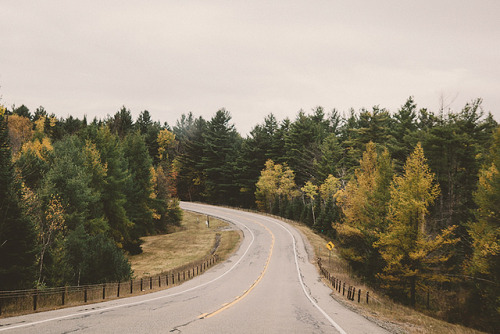 petalier - Adirondack Park, NY by Gabriela Tulian on Flickr.