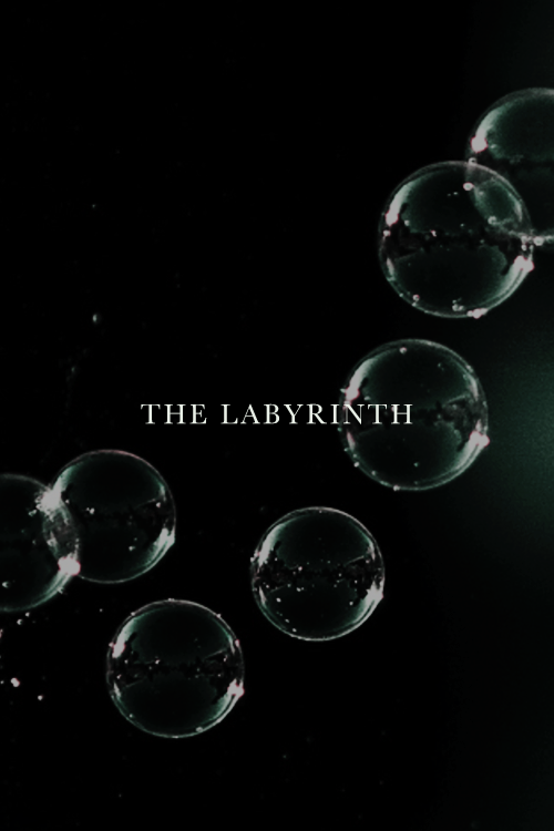 prouvoire: get to know me meme: favorite movies {3/5}↳ labyrinth (1986) “It’s only forev