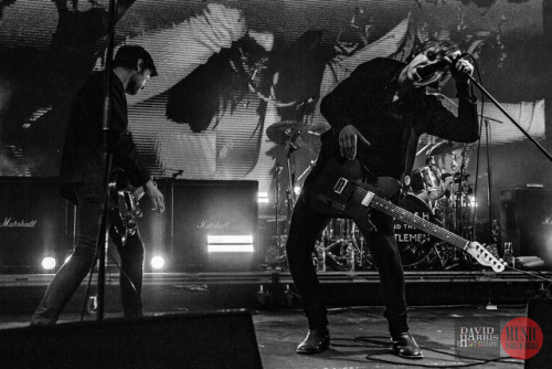 landedinaverycommoncrisis-505: Catfish and the Bottlemen | Falls Festival, Lorne | 31st December, 20