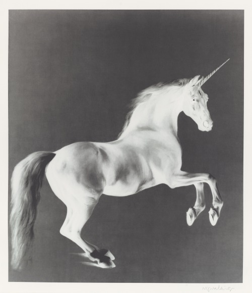 Porn christiesauctions:  Mark Wallinger (b. 1959)Ghost photos