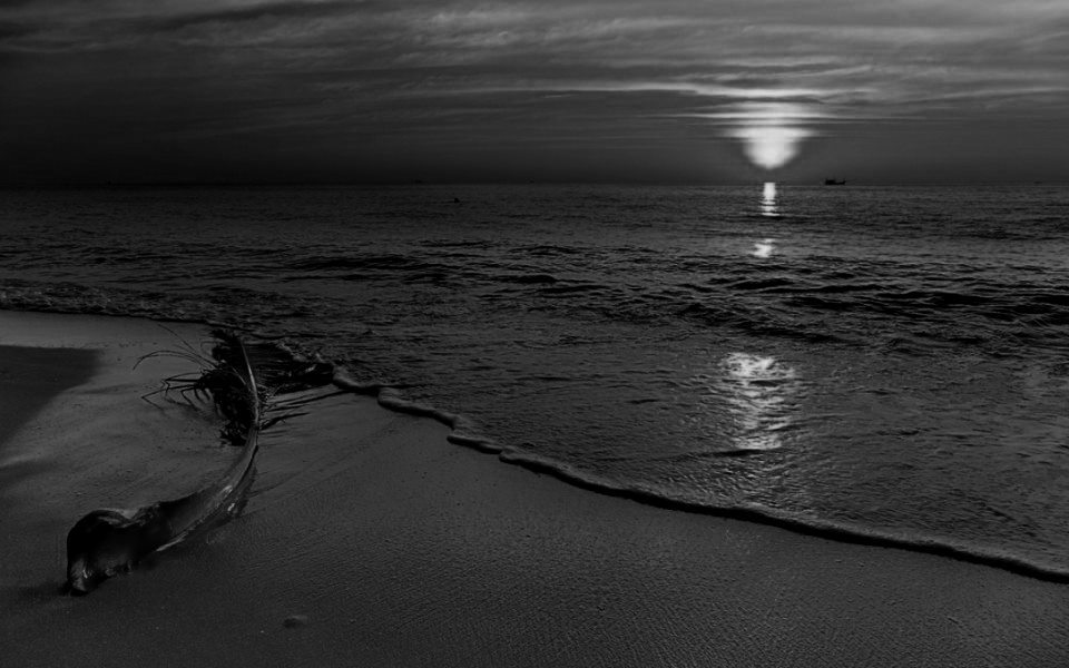 Elegy for a Dream
