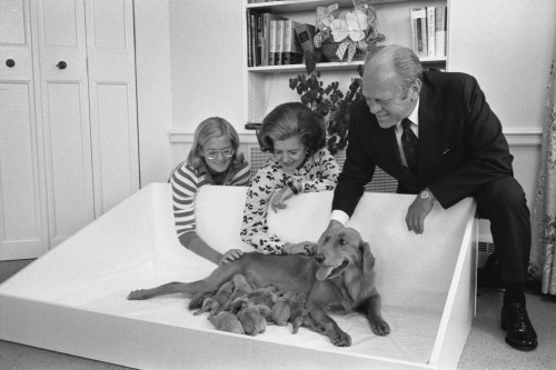 Today in 1975, the Ford’s welcomed new additions to the family when their golden retriever Lib
