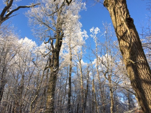 chained-to-the-mirror: Winter wonderland ❄️