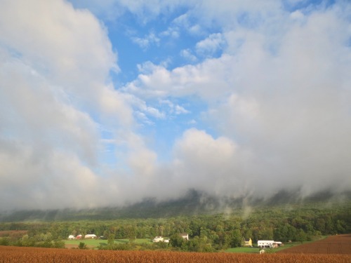 Remember that day when the ridge itself was steaming? 