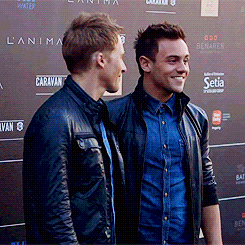 everything tom daley