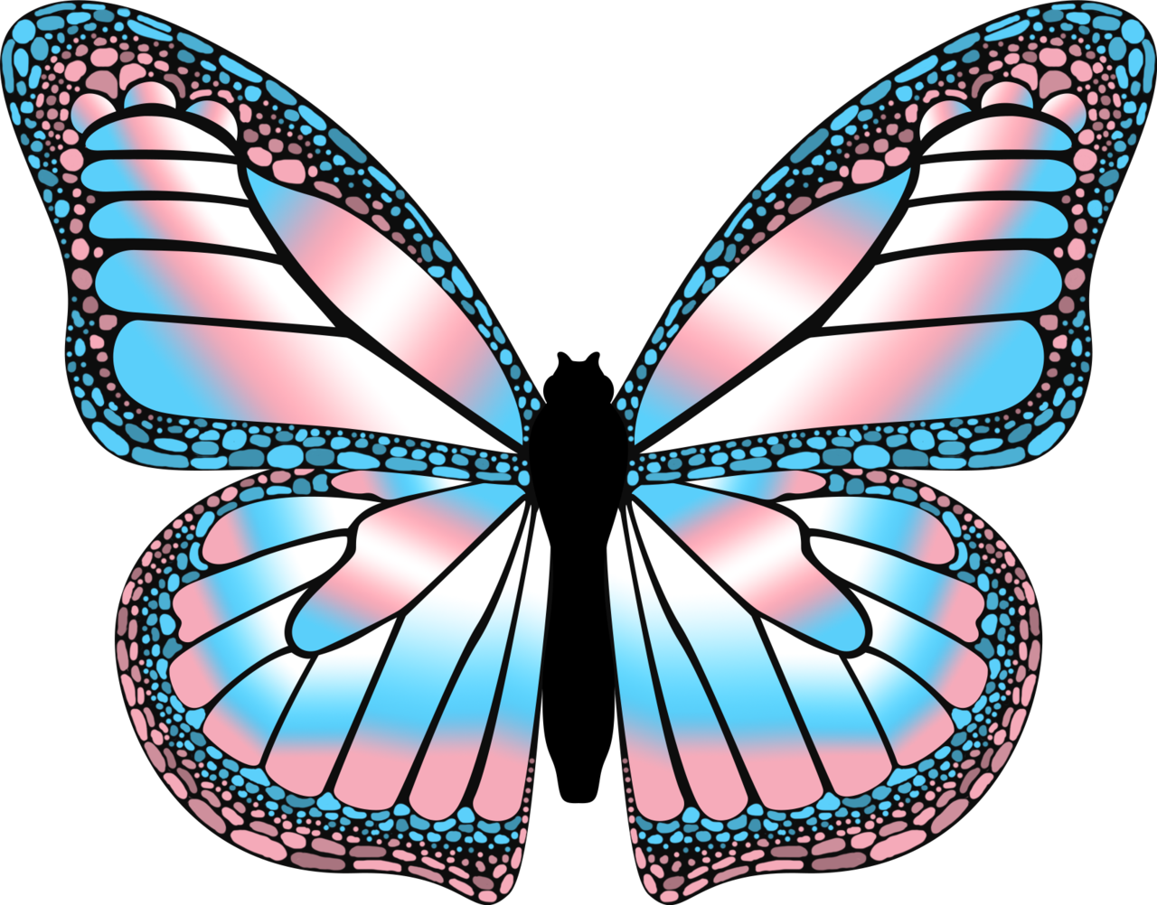 Emilylaj For Pride Month I Made Some Butterflies With The LGBTQIA for-pride-month-i-ll-post-a-happy-story-for-every-time-i-get