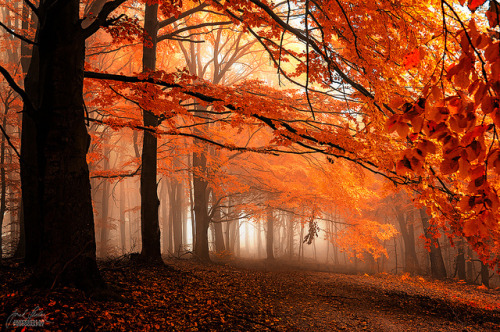 Kingdom of silence by Janek Sedlar on Flickr.