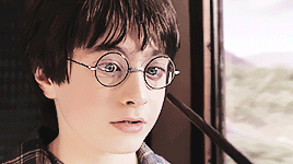 Small Harry
