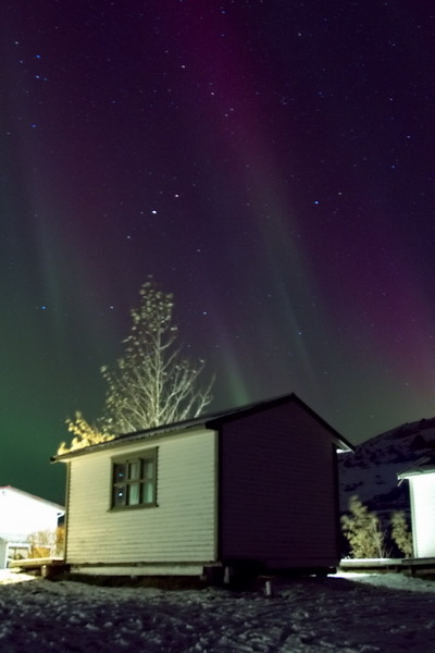 Selfoss, Northern Lights ,Iceland