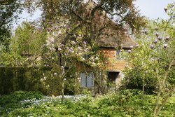 pagewoman:Cottage at Sissinghurst ,Weald of Kent, England