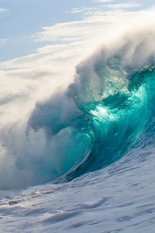 wolverxne:  Untitled | by: { Clark Little }