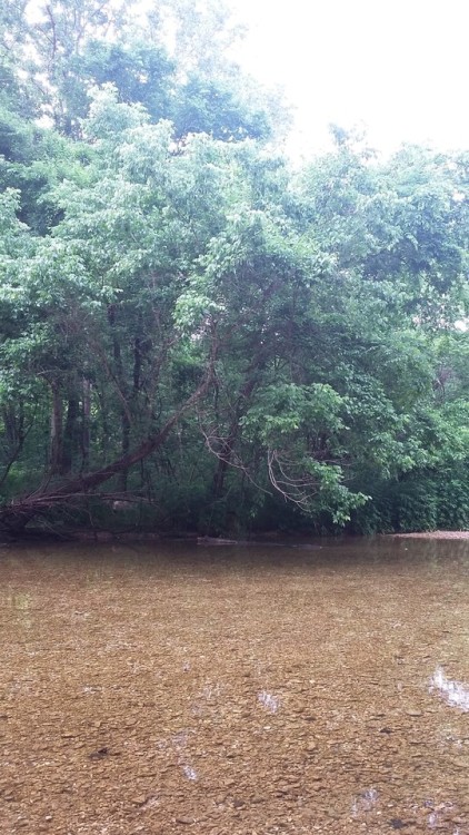 Camp Creek. Southwest Missouri. 