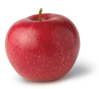 hetare-hetalia:  mmephisto:      red apple ass what is it eren 