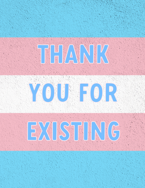 belfryprepz: pinkdrinkdesigns:meant to upload this on tdov but &lt;3 [ID: A trans flag with a te