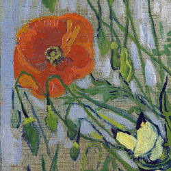 lonequixote:  Butterflies and Poppies (detail) by Vincent van Gogh (via @lonequixote) 