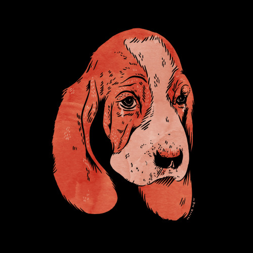 sad dogs club