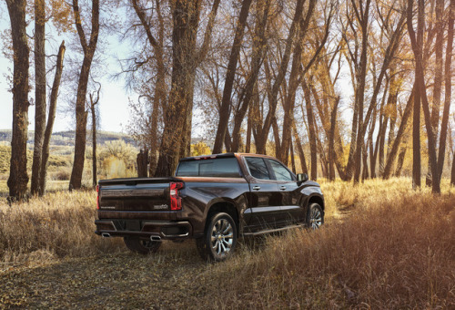 GM reveals 2019 Chevrolet Silverado.