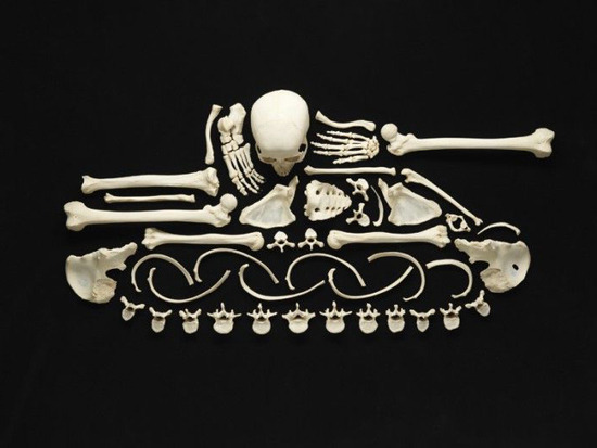 elevenacres:  Francois Robert spent hundreds of hours to create this artwork. He