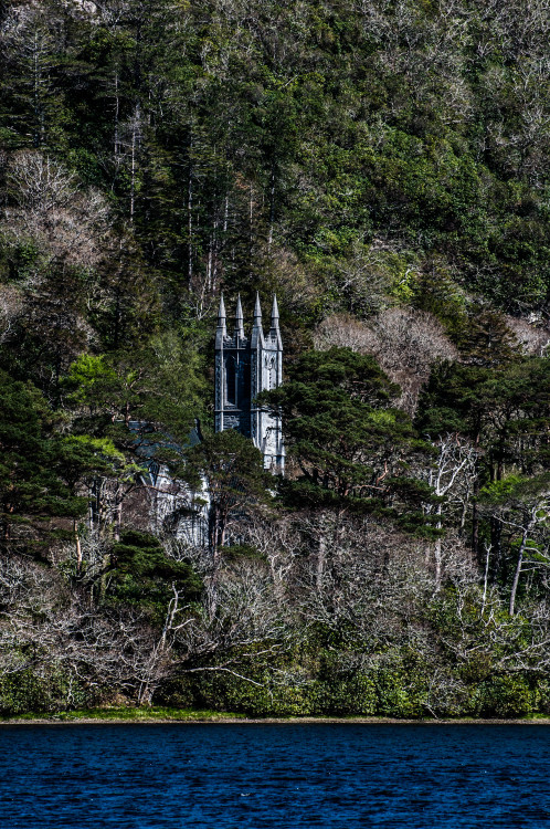 Grounded on the water, head among the treesKylemore Abbey, April 2015 