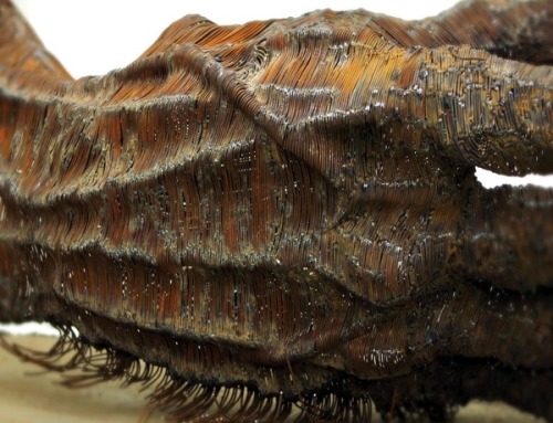 myampgoesto11:  Metal sculptures by Darius Hulea 