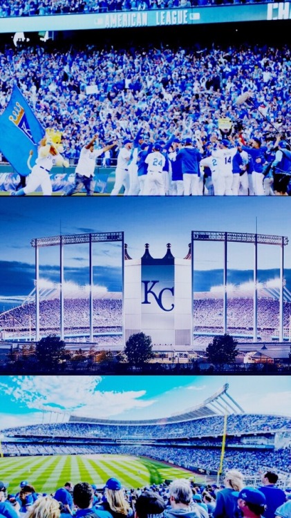 KC Royals ft. Eric Hosmer /requested by anonymous/