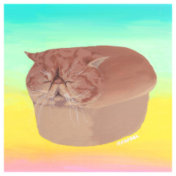 hpappal:  Catloaf. Im hoping to make prints of this.