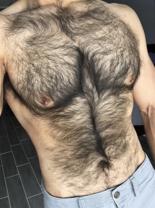 hairy torso