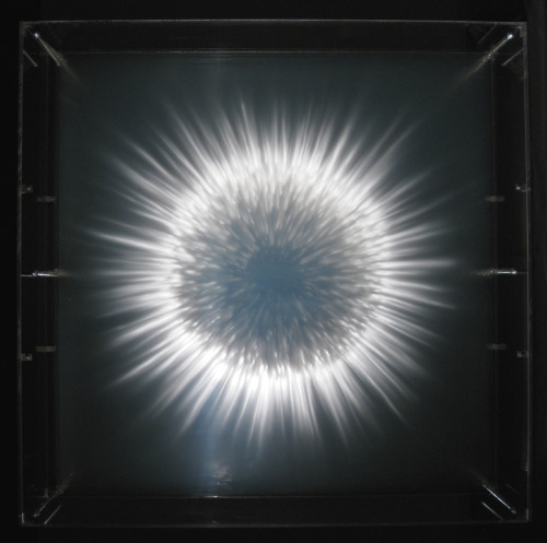 myampgoesto11: Installations by David Spriggs