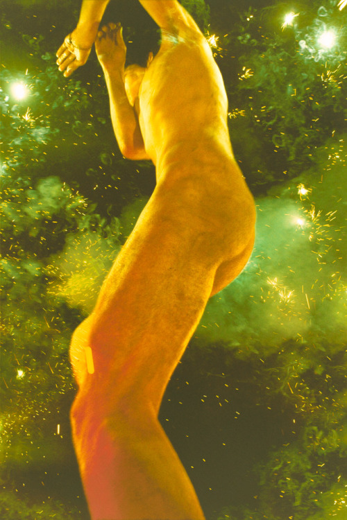 FireworksRyan McGinley, Selected Photographs, 2002-2013