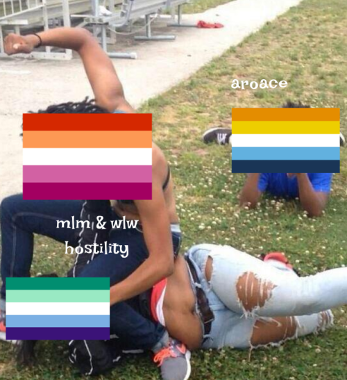 Mlm And Wlw Solidarity Is Nice, But This Character Trope Is Lowkey Hilarious Ngl