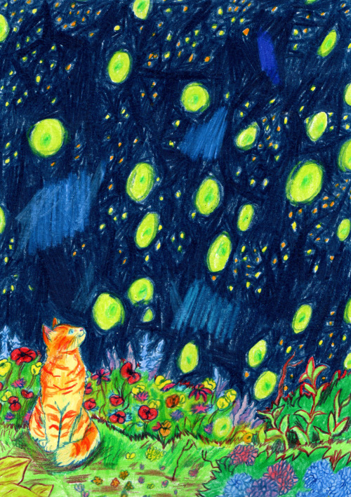 hannahlockillustration:Firefly Cat.