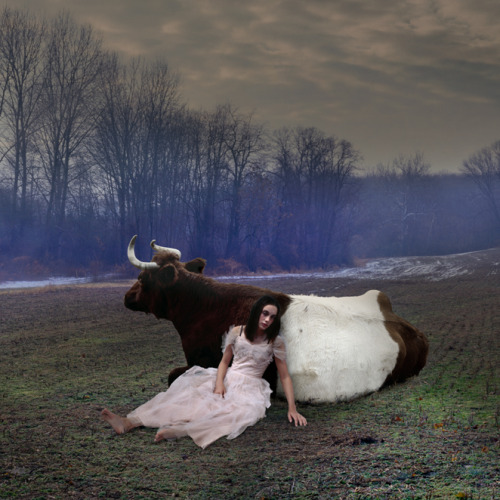 cross-connect:Tom Chambers is an American photographer who creates intriguing photomontages which hi