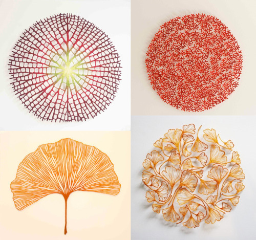 itscolossal:  Meredith Woolnough’s Embroideries Mimic Delicate Forms of Nature  Woolnough uses a special embroidery technique that involves a domestic sewing machine and a base cloth that dissolves in water after the piece is complete leaving just the