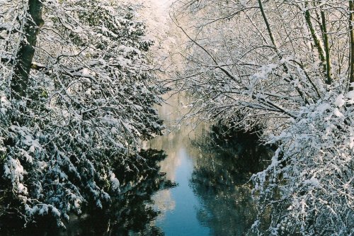 infinite-night-in-winter:  englishsnow:   Holly Kimberley Cooper  first pic, omg<3