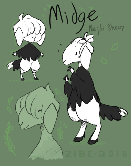 my sheep sonaSORRY FOR LACK OF ART on here.. been busy.. and post a lot more on twitter