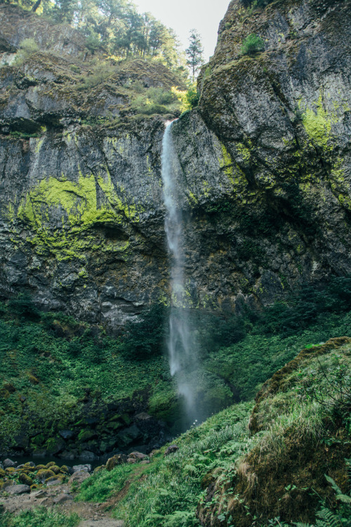 thenorthwestexplorer:Elowah FallsLocation: Columbia River Gorge, ORDate: August 17th, 2014