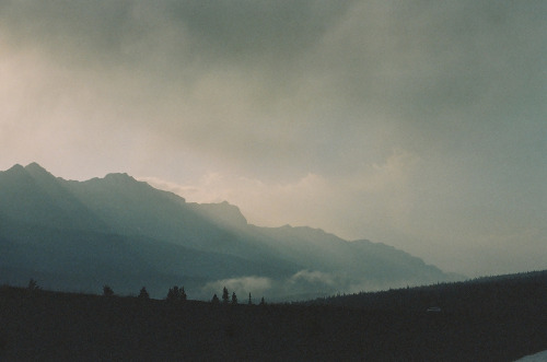 photo-wzrd:  Banff National Park on expired Kodak Gold 200 