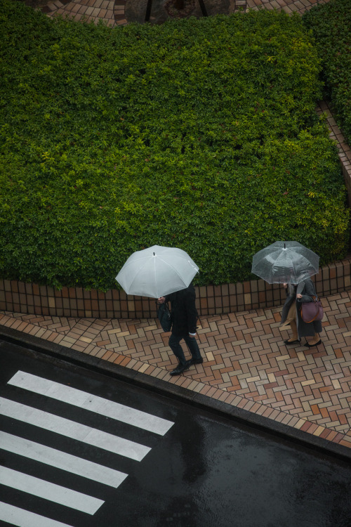 rainy days in tokyo - march 2019