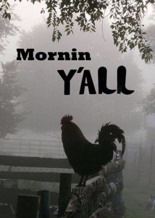 poeticsir:  Cock O’ the Walk 