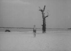 hirxeth:  Ivan’s Childhood (1962) dir.