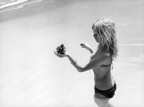 Brigitte Bardot and the little duckling she adopted, on the set of VIVA MARIA! (1965).